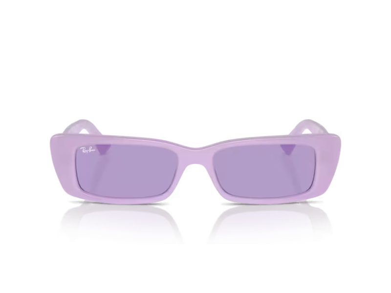 Ray-Ban Teru Ochelari de Soare RB 4425 67581A
