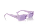 Ray-Ban Teru Ochelari de Soare RB 4425 67581A 54