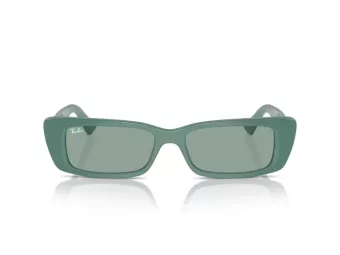 Ray-Ban Teru Ochelari de Soare RB 4425 676282 54