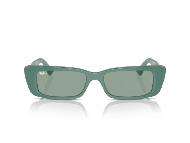 Ray-Ban Teru Ochelari de Soare RB 4425 676282
