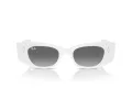Ray-Ban Kat Ochelari de Soare RB 4427 675911 49