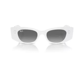 Ray-Ban Kat Ochelari de Soare RB 4427 675911 49