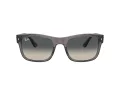 Ray-Ban Ochelari de Soare RB 0RB4428 667571 56