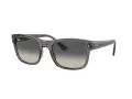 Ray-Ban Ochelari de Soare RB 0RB4428 667571 56
