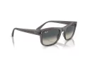 Ray-Ban Ochelari de Soare RB 0RB4428 667571 56