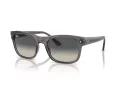 Ray-Ban Ochelari de Soare RB 0RB4428 667571 56