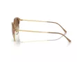 Ray-Ban Ochelari de Soare RB 0RB4429 672151 55