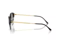 Ray-Ban Ochelari de Soare RB 0RB4429 672332 55