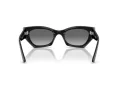 Ray-Ban Zena Ochelari de Soare RB 4430 667711 52