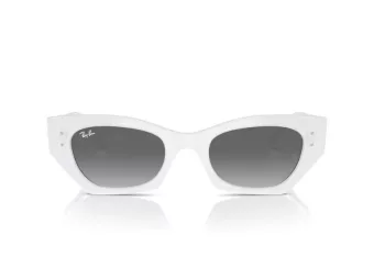 Ray-Ban Zena Ochelari de Soare RB 4430 675911 49