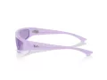 Ray-Ban Izaz Ochelari de Soare RB 4432 67581A 59