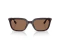 Ray-Ban Ochelari de Soare RB 4439D 623173 54