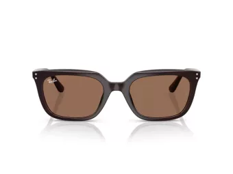 Ray-Ban Ochelari de Soare RB 4439D 623173 54