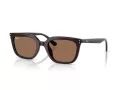 Ray-Ban Ochelari de Soare RB 4439D 623173 54