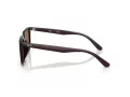 Ray-Ban Ochelari de Soare RB 4439D 623173 54