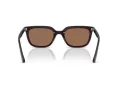 Ray-Ban Ochelari de Soare RB 4439D 623173 54
