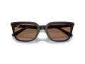 Ray-Ban Ochelari de Soare RB 4439D 623173 54