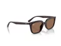 Ray-Ban Ochelari de Soare RB 4439D 623173 54