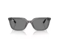Ray-Ban Ochelari de Soare RB 4439D 667587 54
