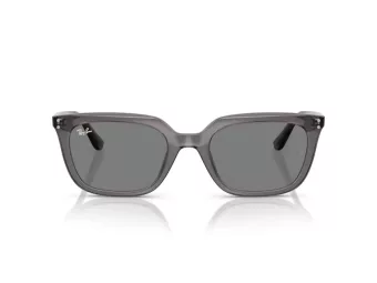 Ray-Ban Ochelari de Soare RB 4439D 667587 54