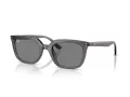 Ray-Ban Ochelari de Soare RB 4439D 667587 54