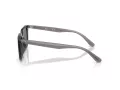 Ray-Ban Ochelari de Soare RB 4439D 667587 54