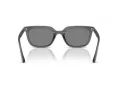 Ray-Ban Ochelari de Soare RB 4439D 667587 54