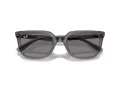 Ray-Ban Ochelari de Soare RB 4439D 667587 54