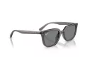 Ray-Ban Ochelari de Soare RB 4439D 667587 54