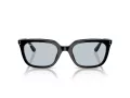 Ray-Ban Ochelari de Soare RB 4439D 901/72 54
