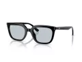 Ray-Ban Ochelari de Soare RB 4439D 901/72 54