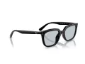 Ray-Ban Ochelari de Soare RB 4439D 901/72 54