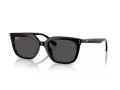Ray-Ban Ochelari de Soare RB 4439D 901/87 54