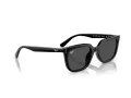Ray-Ban Ochelari de Soare RB 4439D 901/87 54