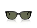 Ray-Ban Ochelari de Soare RB 4439D 901/9A 54