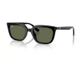 Ray-Ban Ochelari de Soare RB 4439D 901/9A 54