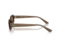 Ray-Ban Ochelari de Soare RB 4441D 677973 53