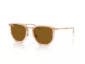 Ray-Ban Ochelari de Soare RB 4451 680133 50