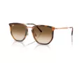 Ray-Ban Ochelari de Soare RB 4451 680451 50