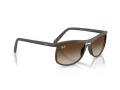 Ray-Ban Ochelari de Soare RB 4452 612413 56