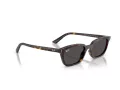 Ray-Ban Zaya Ochelari de Soare RB 4456 135987 50