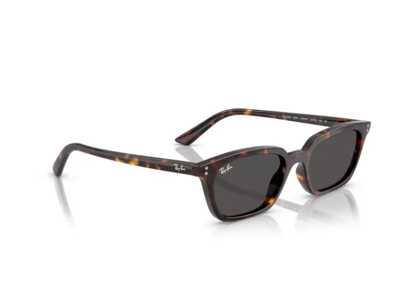 Ray-Ban Zaya Ochelari de Soare RB 4456 135987