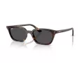 Ray-Ban Zaya Ochelari de Soare RB 4456 135987 53