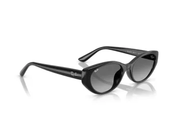 Ray-Ban Ochelari de Soare RB 4457D 667711 55