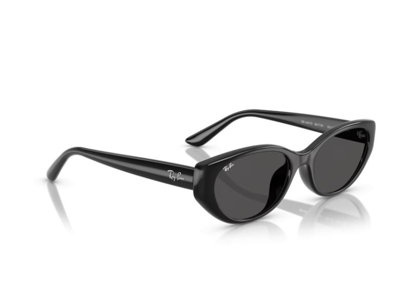 Ray-Ban Ochelari de Soare RB 4457D 667787