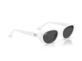 Ray-Ban Ochelari de Soare RB 4457D 677287 55