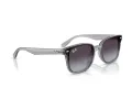 Ray-Ban Ochelari de Soare RB 4461D 64508G 64