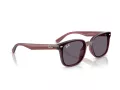 Ray-Ban Ochelari de Soare RB 4461D 659373 64
