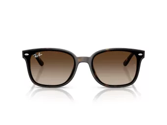 Ray-Ban Ochelari de Soare RB 4461D 710/13 64
