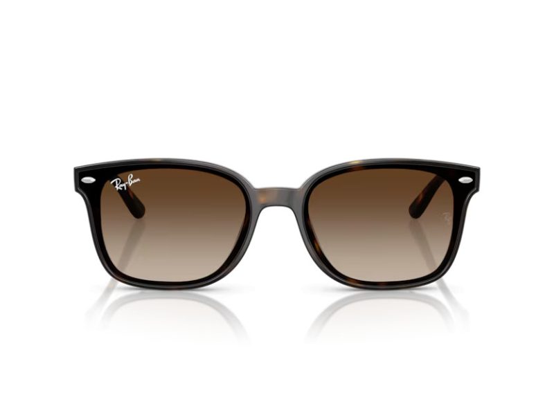 Ray-Ban Ochelari de Soare RB 4461D 710/13